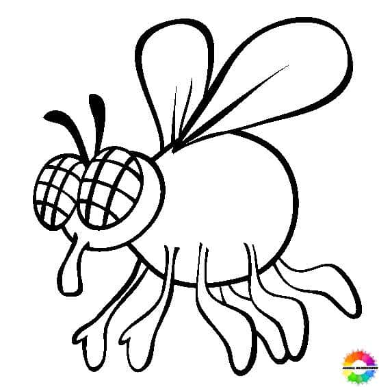 Insekten-Ausmalbilder-ausmalbilderkinder-de-17