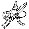 Insekten 19