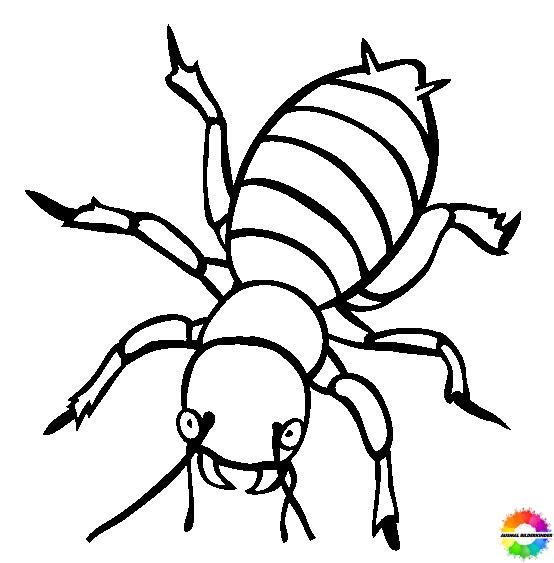 Insekten-Ausmalbilder-ausmalbilderkinder-de-26