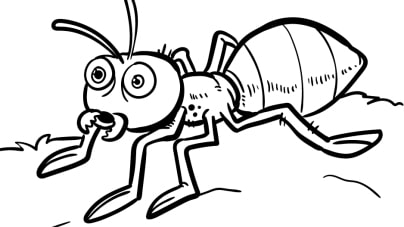 Insekten-Ausmalbilder-ausmalbilderkinder-de-4
