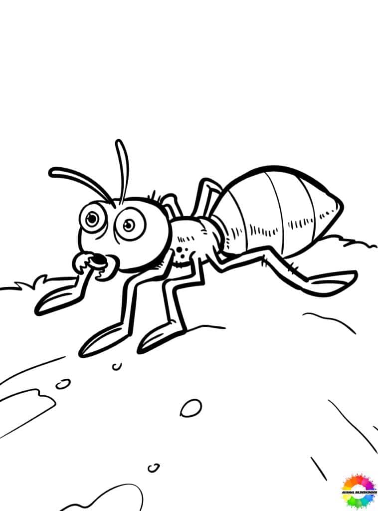 Insect Coloring Pages Free Printable For Kids Insect coloring pages free printable for kids