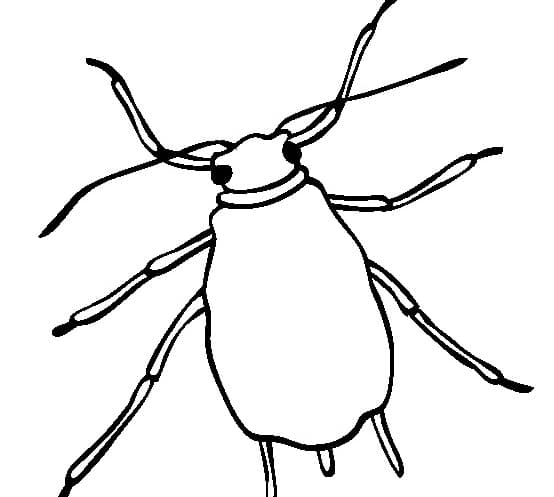 Insekten-Ausmalbilder-ausmalbilderkinder-de-45