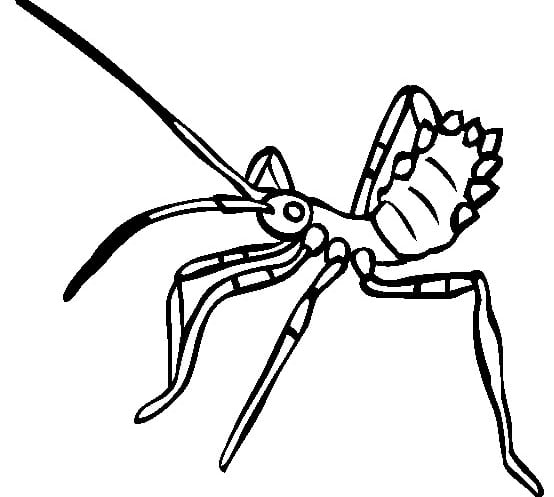 Insekten-Ausmalbilder-ausmalbilderkinder-de-46