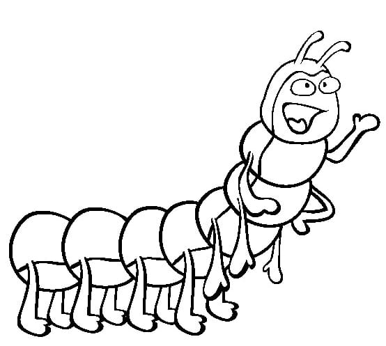 Insekten-Ausmalbilder-ausmalbilderkinder-de-49