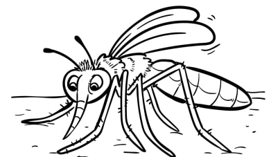 Insekten-Ausmalbilder-ausmalbilderkinder-de-5