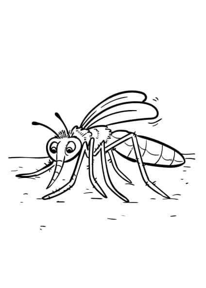 Insekten-Ausmalbilder-ausmalbilderkinder-de-5