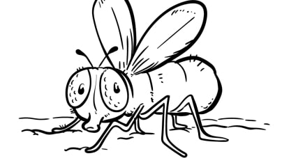 Insekten-Ausmalbilder-ausmalbilderkinder-de-6