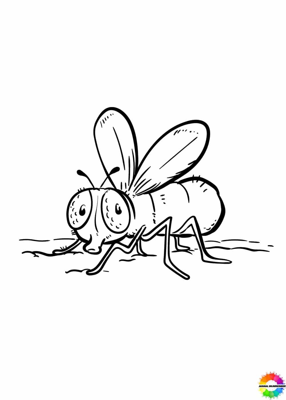 Insekten 6