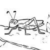 Insekten 8