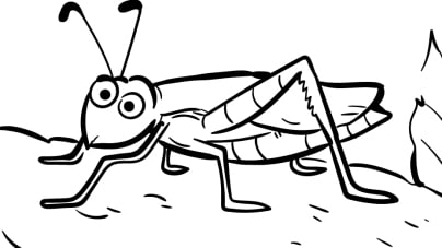 Insekten-Ausmalbilder-ausmalbilderkinder-de-8
