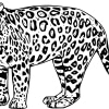 Jaguar 03