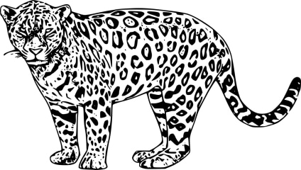 Jaguar-ausmalbilder-ausmalbilderkinder.de-03