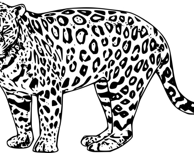 Jaguar-ausmalbilder-ausmalbilderkinder.de-03