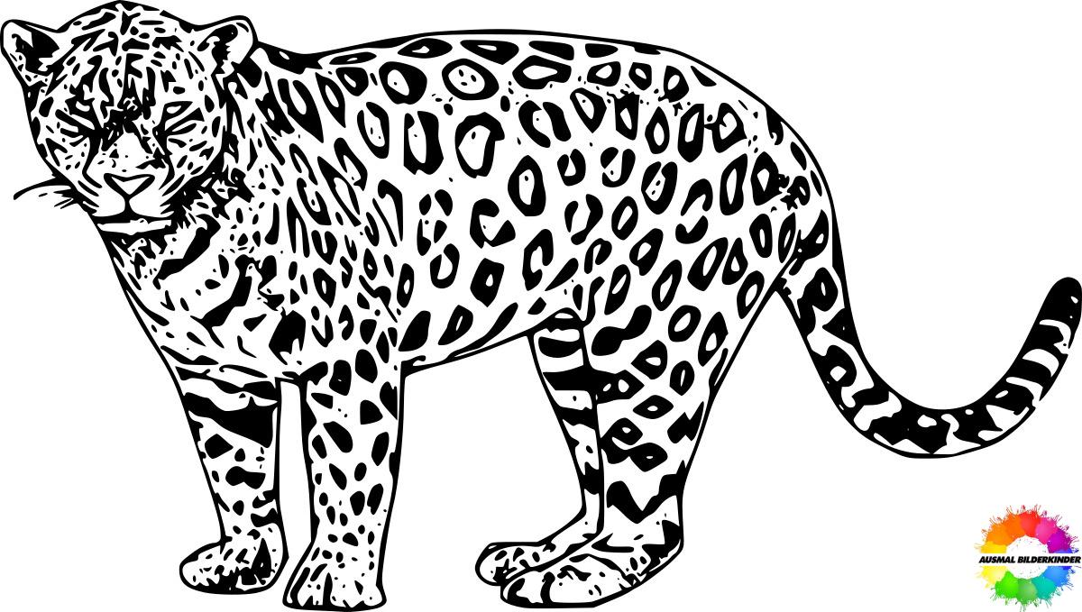 Jaguar 03