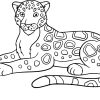 Jaguar 04
