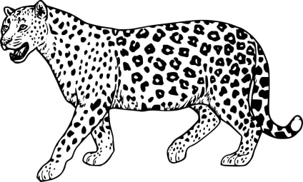 Jaguar-ausmalbilder-ausmalbilderkinder.de-07