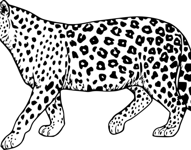 Jaguar-ausmalbilder-ausmalbilderkinder.de-07