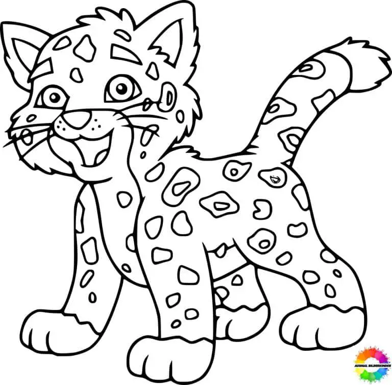Jaguar ausmalbilder tiere zum drucken kostenlos für kinder
