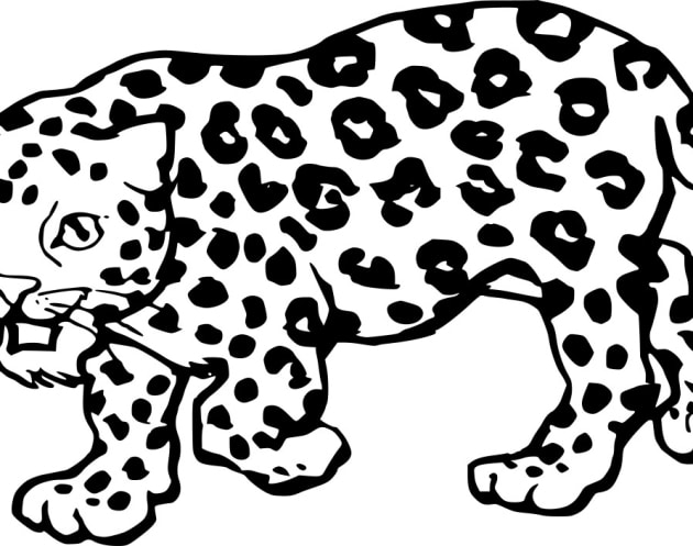 Jaguar-ausmalbilder-ausmalbilderkinder.de-11