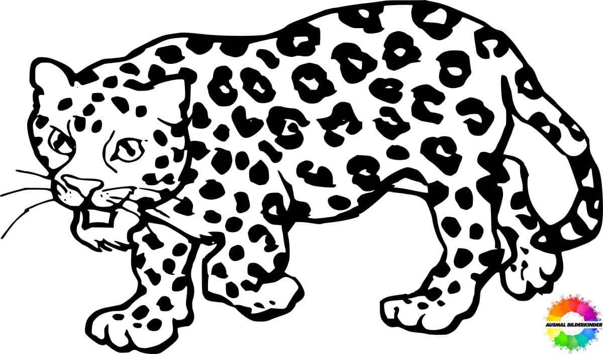 Jaguar-ausmalbilder-ausmalbilderkinder.de-11