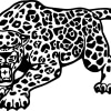 Jaguar 14