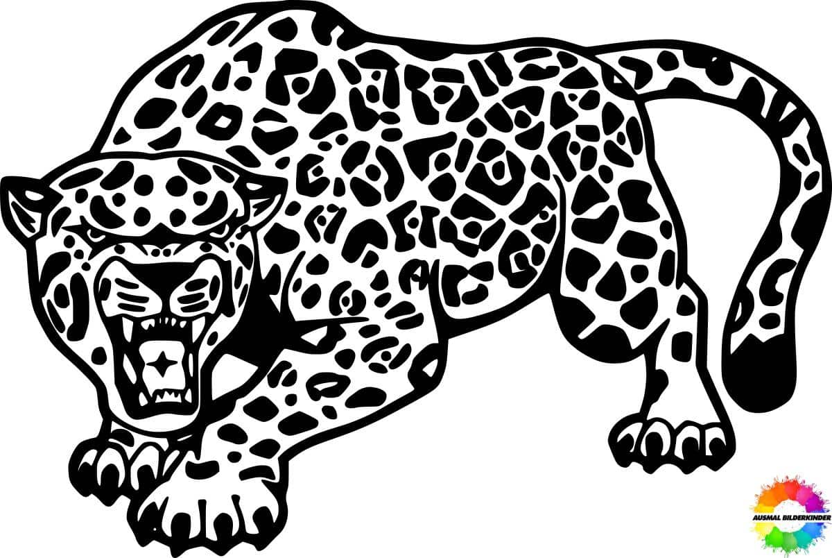 Jaguar 14
