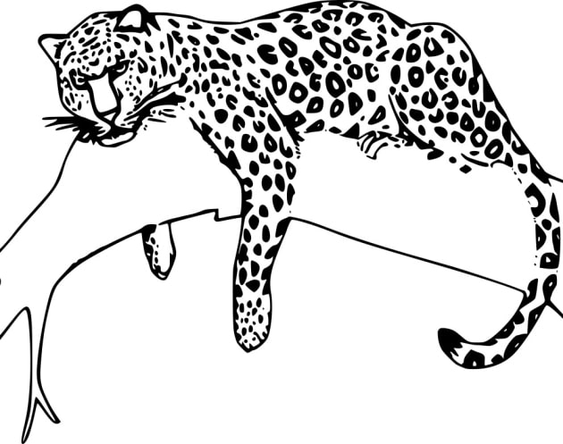 Jaguar-ausmalbilder-ausmalbilderkinder.de-16