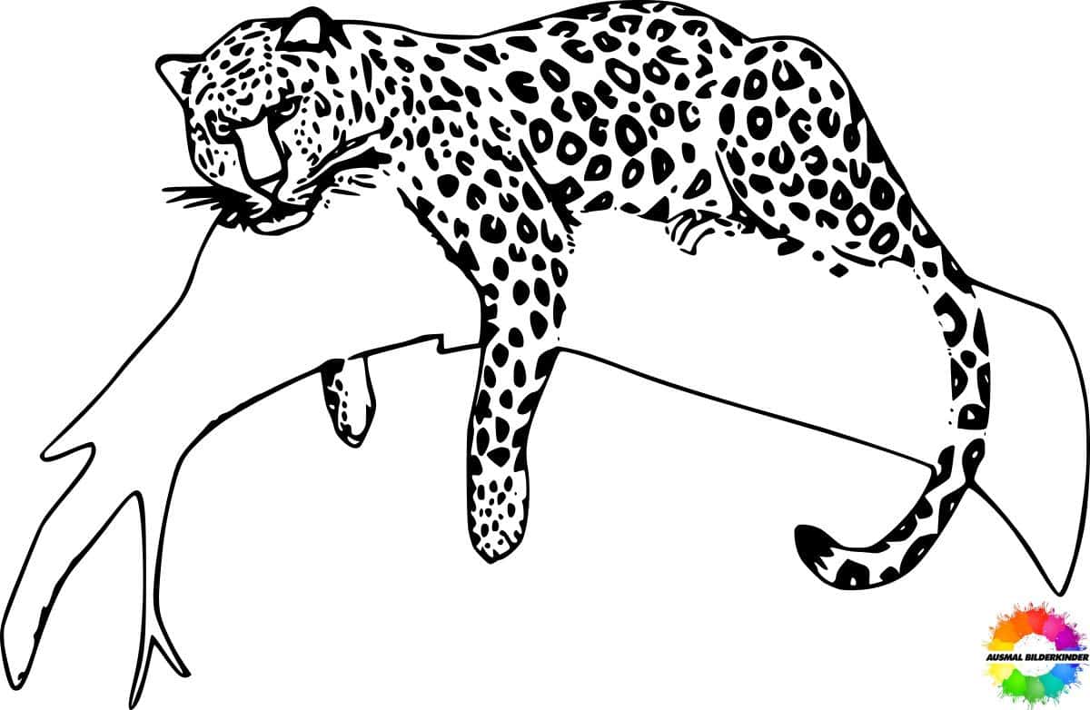 Jaguar 16