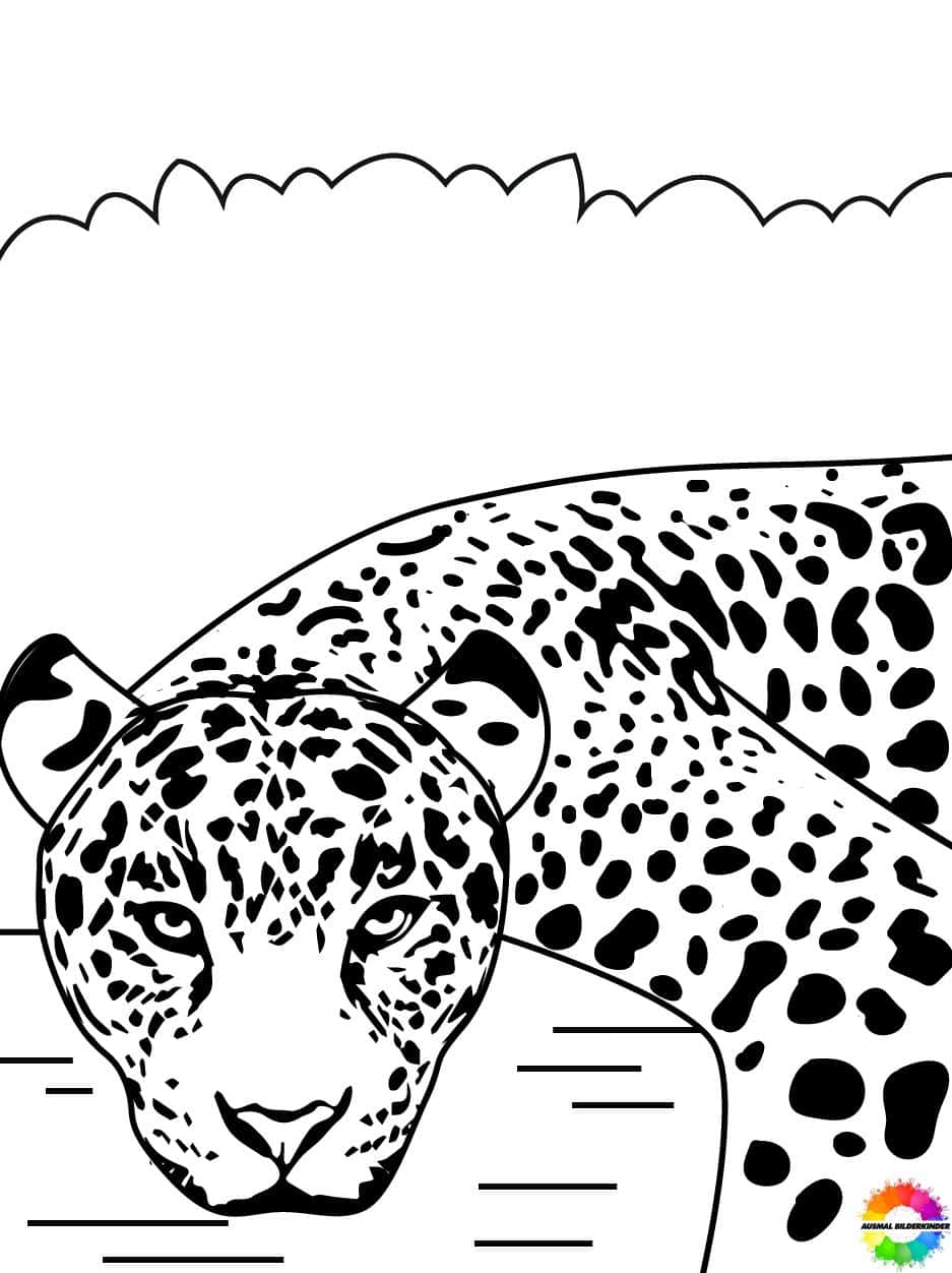 Jaguar-ausmalbilder-ausmalbilderkinder.de-23