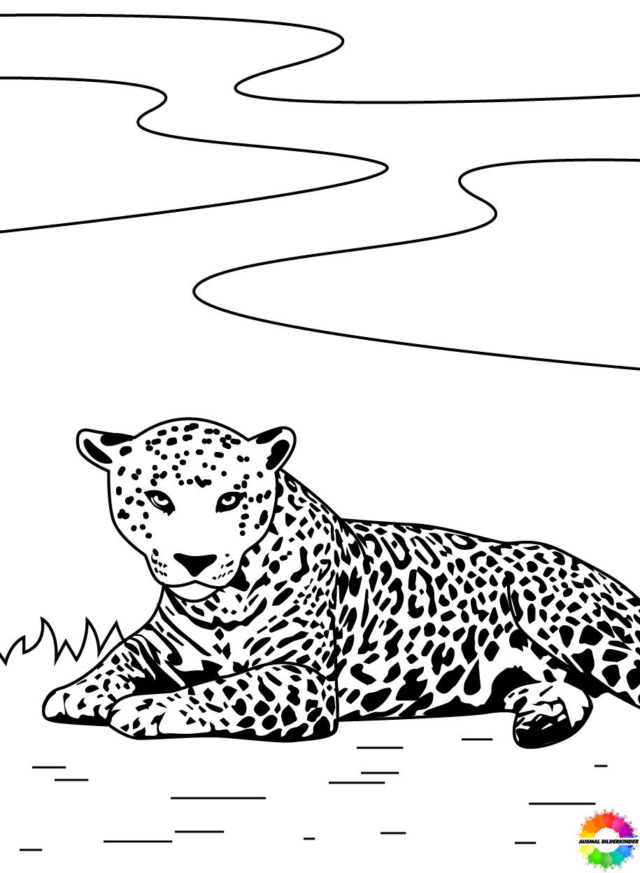 Jaguar-ausmalbilder-ausmalbilderkinder.de-31