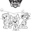 Paw Patrol 18