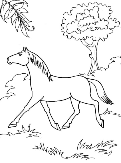 Pferde-Ausmalbilder-ausmalbilderkinder-de-14