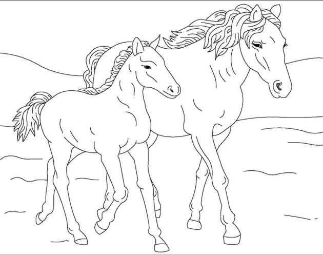 Pferde-Ausmalbilder-ausmalbilderkinder-de-34