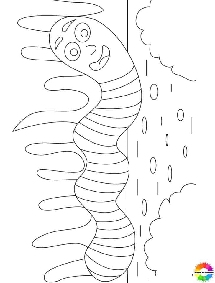Regenwürmer-Ausmalbilder-ausmalbilderkinder-de-2