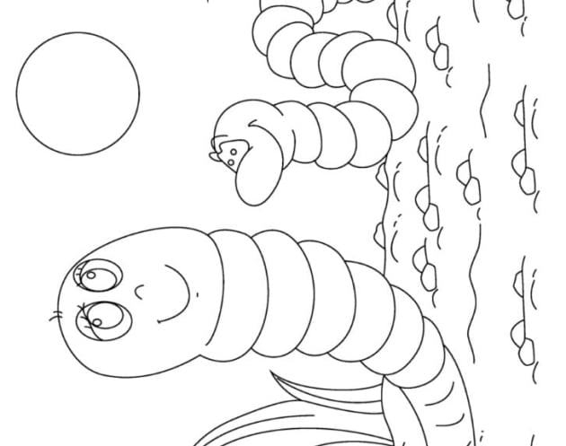 Regenwürmer-Ausmalbilder-ausmalbilderkinder-de-22