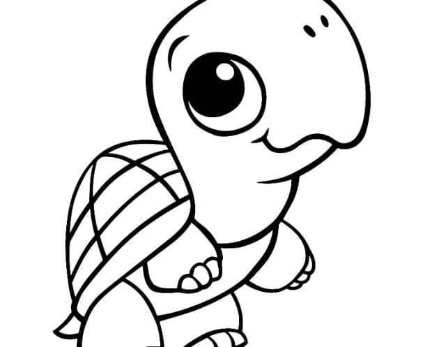 Schildkröte-Ausmalbilder-ausmalbilderkinder-de-11