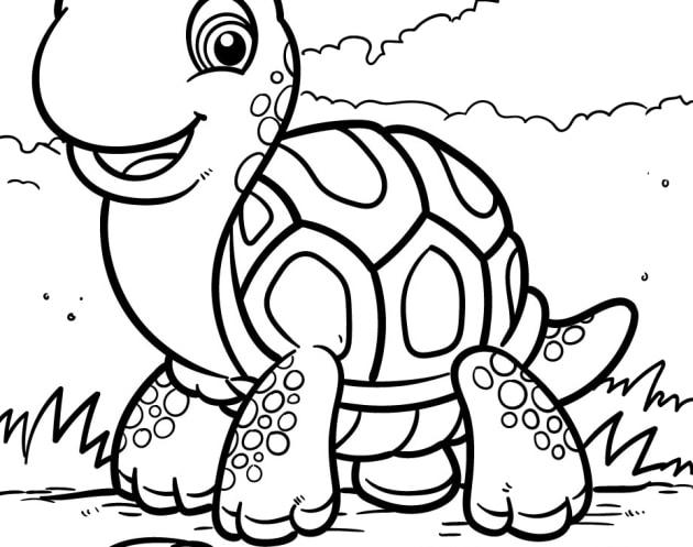 Schildkröte-Ausmalbilder-ausmalbilderkinder-de-12