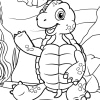 Schildkröte 16