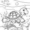 Schildkröte 17