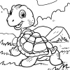 Schildkröte 20