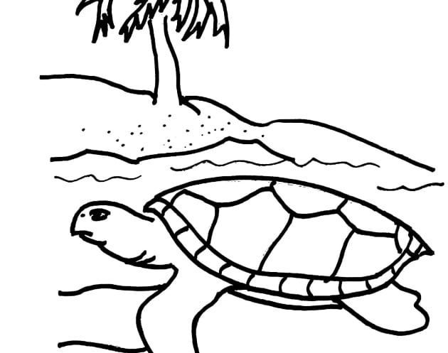 Schildkröte-Ausmalbilder-ausmalbilderkinder-de-3