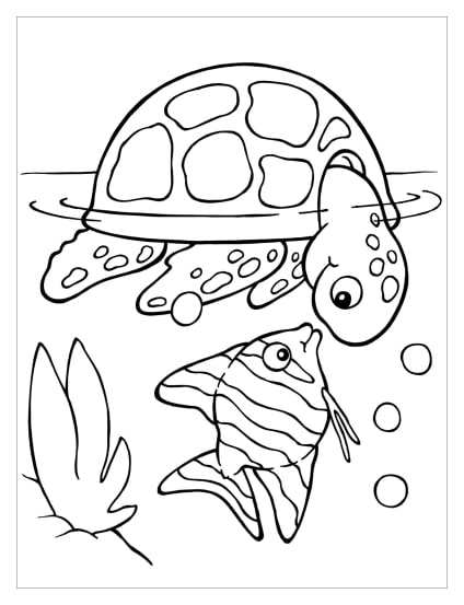 Schildkröte-Ausmalbilder-ausmalbilderkinder-de-5
