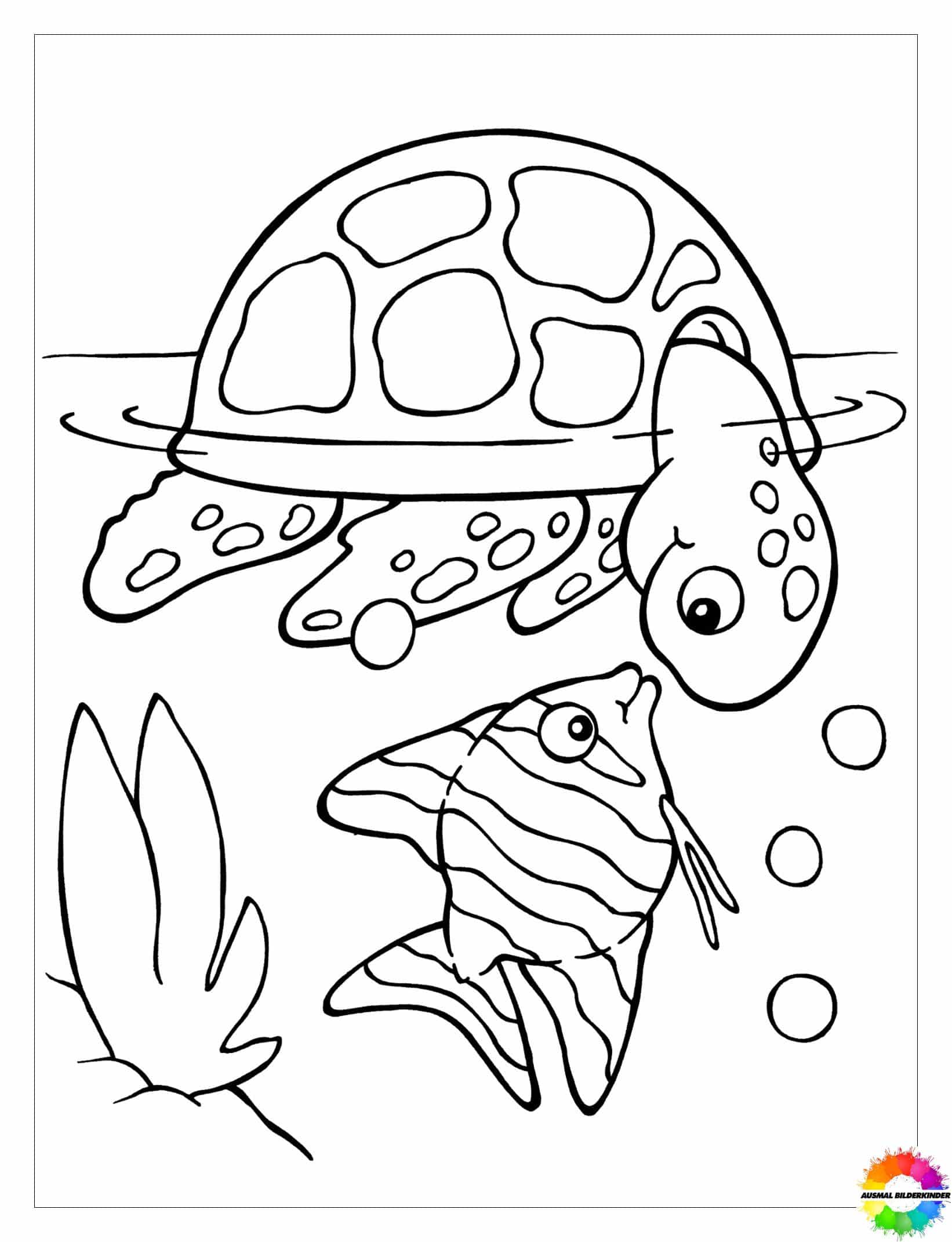 Schildkröte-Ausmalbilder-ausmalbilderkinder-de-5