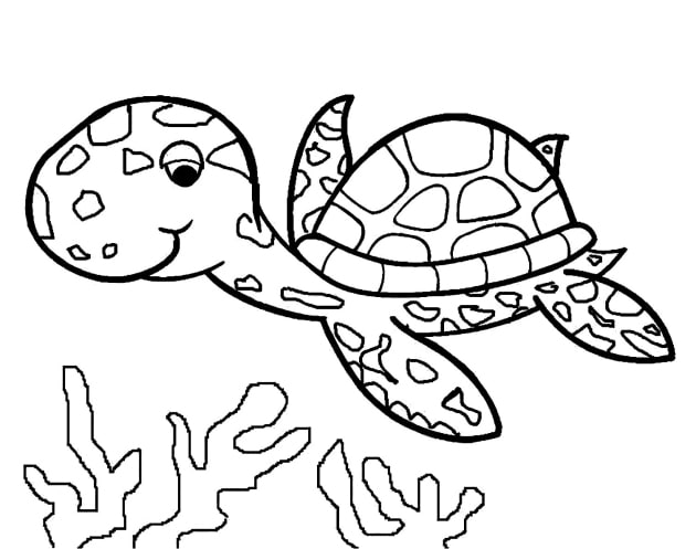Schildkröte-Ausmalbilder-ausmalbilderkinder-de-6