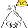 Angry Birds 21