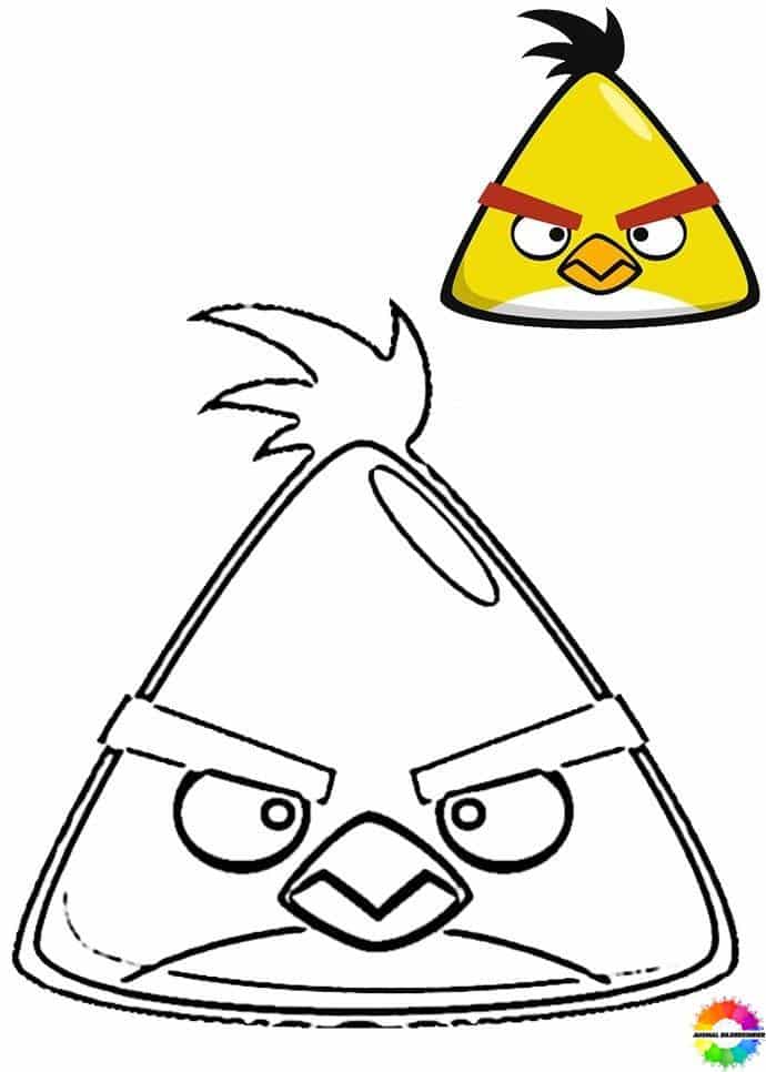 Angry-Birds-Ausmalbilder-ausmalbilderkinder-de-21