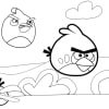 Angry Birds 52
