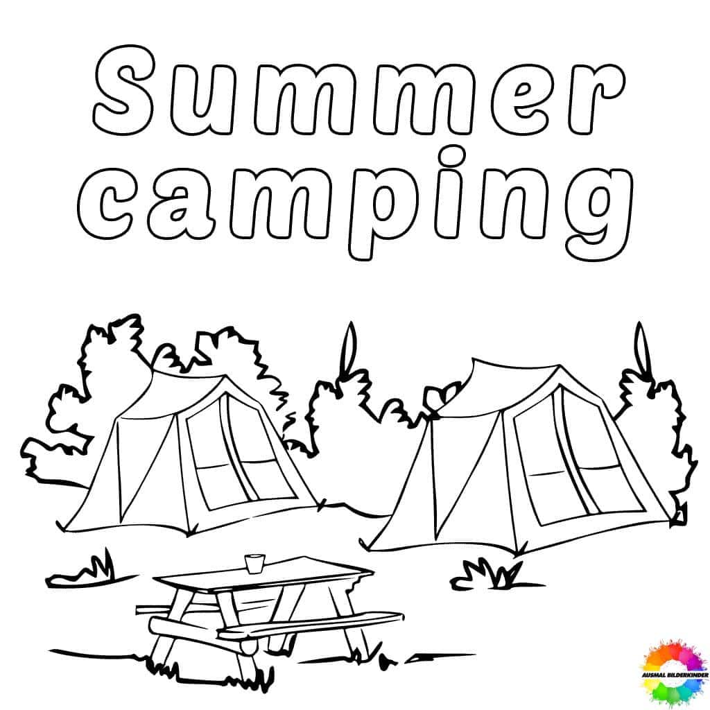 Camping 24