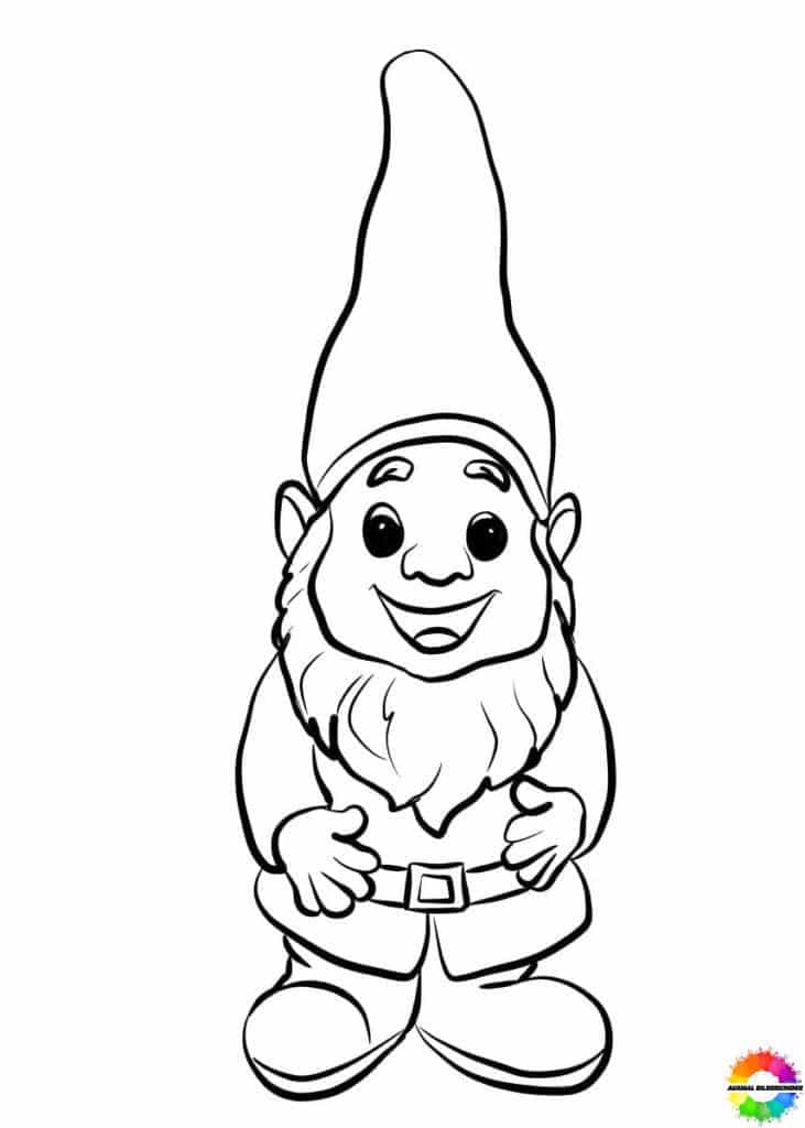 Gnome 24