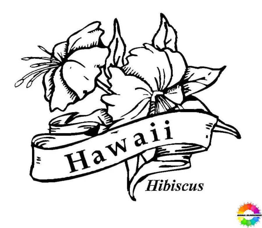 Hawaii-Ausmalbilder-ausmalbilderkinder-de-16
